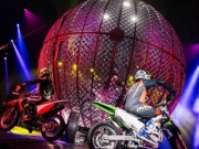 Circo Celestia lan&ccedil;a campanha de ingresso solid&aacute;rio em prol da Legi&atilde;o da Boa Vontade (LVB)
