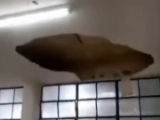 Alunos jogavam xadrez quando parte do teto caiu na biblioteca da ETEPAM