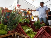 CNPJ para autônomos e produtores rurais só será obrigatório em 2027