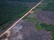 Amazônia registra menor desmatamento no primeiro semestre em oito anos