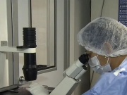 Dois novos casos de remiss&atilde;o do HIV ap&oacute;s transplante elevam total para 13 no mundo