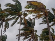 Temporada dos ventos: o que muda no clima com a chegada de agosto?