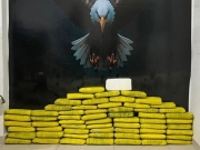 Denarc apreende 52 kg de drogas em opera&ccedil;&atilde;o contra tr&aacute;fico em Petrolina