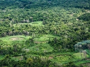 Pesquisa une saber indígena e ciência para mapear biodiversidade na Amazônia