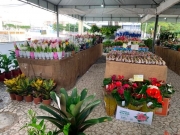 Feira de Flores Holambra permanece em Petrolina até domingo (23)