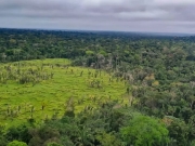 60% das terras indígenas da Amazônia não tiveram desmatamento