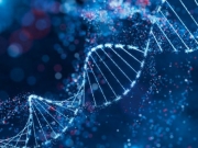 Tratamento experimental busca apagar colesterol alto para toda vida