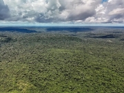 Reino Unido anuncia investimento de 400 milhões de libras no TFFF