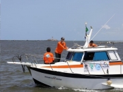 Pernambuco retoma monitoramento de tubarões no litoral do Recife