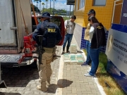 PRF apreende 232 kg de queijo sem refrigeração em Caetés