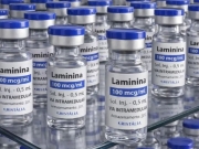 Polilaminina inicia testes em humanos para tratar les&otilde;es na medula
