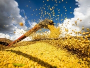 Produção agrícola brasileira supera R$ 927 bilhões em 2025, aponta IBGE