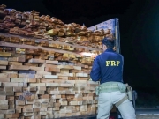 PRF conclui operação Sumaúma II com foco no combate a crimes ambientais
