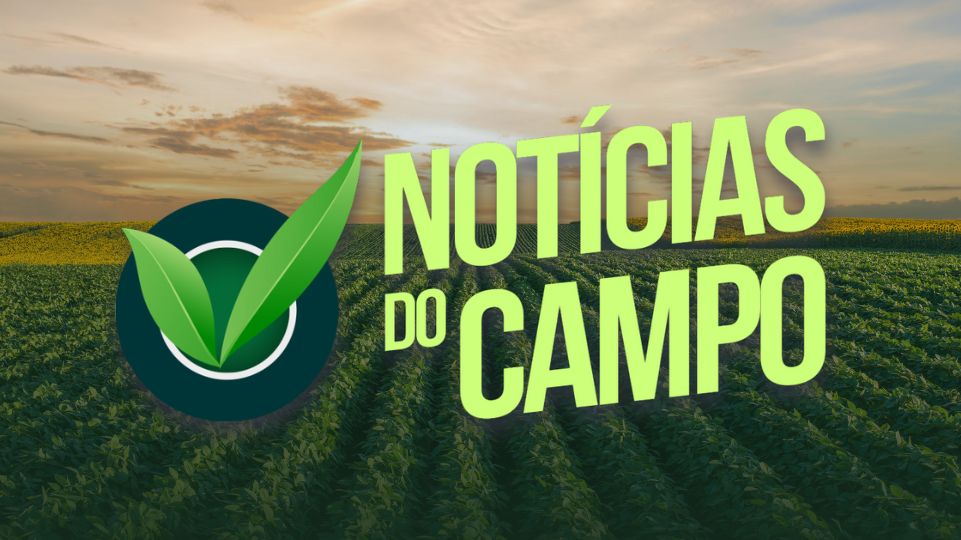Notícias do Campo